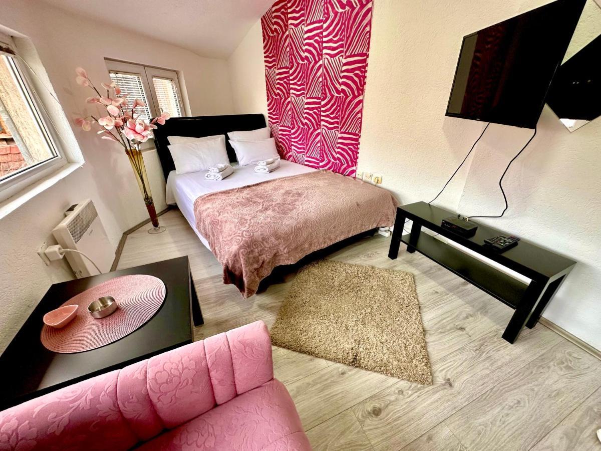Apartmani Aleksandra U Centru Grada Крагуєваць Екстер'єр фото