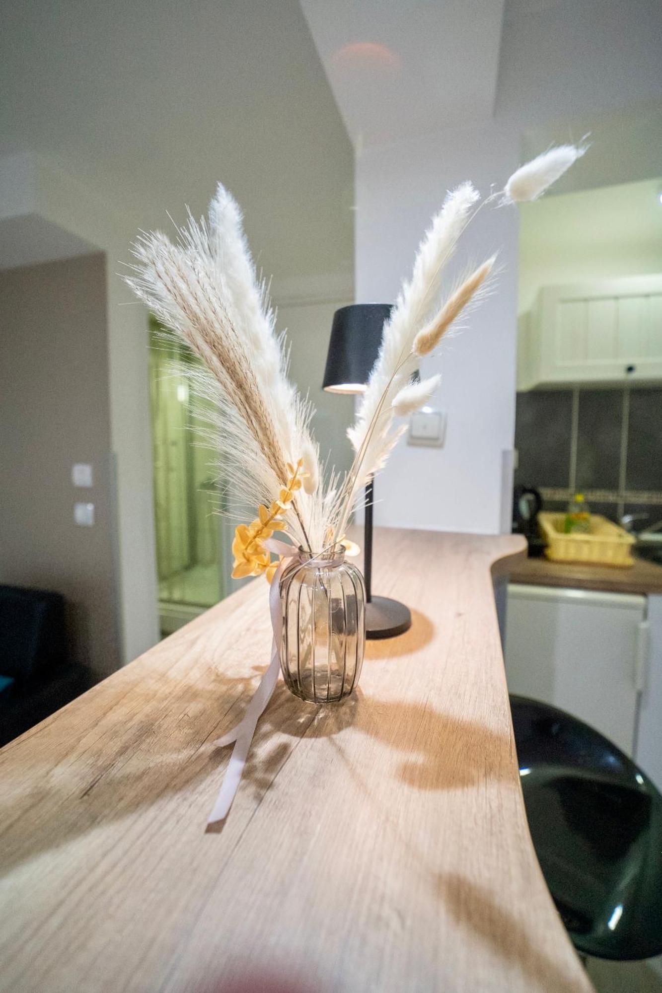 Apartmani Aleksandra U Centru Grada Крагуєваць Екстер'єр фото